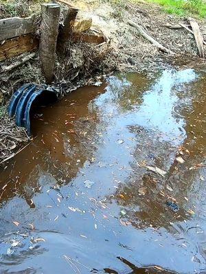 Blockage Downstream And Taking A Peep At The Culvert After Getting Water Flowing! || Beaver Dam Removal!  #beaverdamremoval #beaverdam #beaverdamcreek #damremoval #beavers #dam #drain #draining #water #nature #unclogging #creek #terrellspivey #fypシ゚ #foryoupageシ #foryou #viralreels #viralvideo #viralpost #foryoupageofficiall #fyp #fyppppppppppppppppppppppp #tiktok #tiktokreels #shorts #tiktokvideos #viraltiktokvideo 