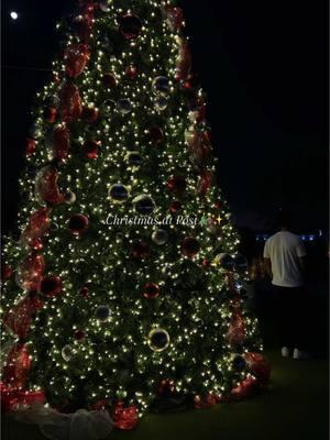 The Houston skyline is even more gorgeous during the holidays😍😫#postmarket #posthouston #houstontx #houstonrooftop #holidayseason #christmaslights #christmasactivities #thingstodoinhouston 