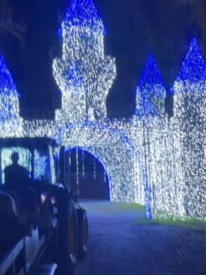 Lights of the south is a must see! Dont forget to visit santa! #christmas #lights #decor #millionsoflights #beautiful #hayride #funforall #christmas2024 @Lights of the South 