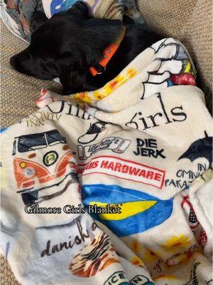 Wanted: Blanket Thief #gilmoregirls #gilmoregirlstiktok #gilmoregirlsblanket #cozy #dog 