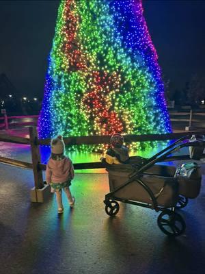 Justin got us out of the house last night to look at the Christmas lights and lift my spirits. Smart man. #cheerup #holidaylights #zoolights #columbuszoo #columbusohio #fyp 