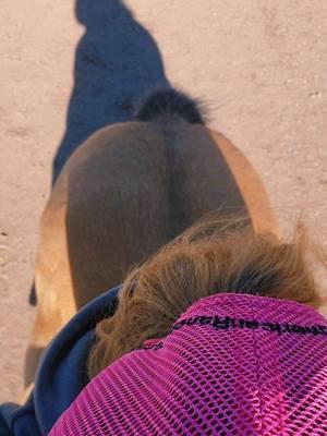 Fun trend, especially with big booty horses  #rockinkhorses #biscuit #buckskinhorse #buckskinmare #problemhorse #horsetraining #arena #SpringervilleAZ #Arizona #azhorselife #random #randomvideo #FNX #FNXelite #fnxfit #fnxambassador #hygainfeeds 