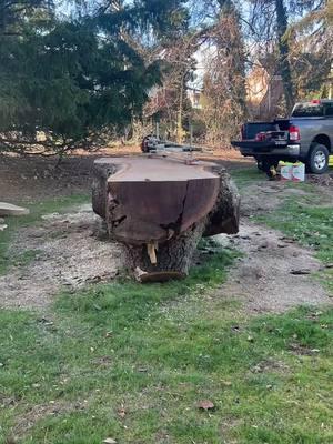 @tree_of_life_wood_works wrapping up the job on this massive walnut! 🌳🌳🌳 🧰 Products used: ✅ 56” Alaskan MKIV Mill ✅ Alaskan Hand Winch 🇺🇸 Made in the USA Shop now at www.granberg.com #blackwalnut #madewithgranberg #alaskanmill