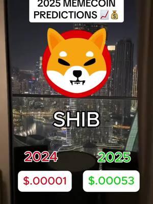 🔥📈Memecoins are gonna be crazy in 2025 💰 what are you holding?? 👀 @$PINO #pino #pepe #shib #shibainu #shibainucoin #dogecoin @Ponke #moodeng #crypto #memecoins #memecoin #memecoinseason #fypage 