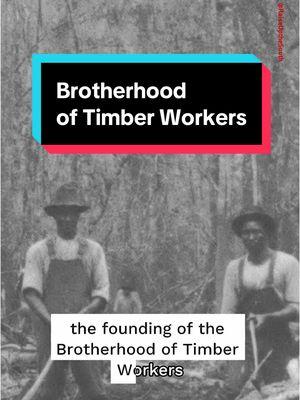 Today in Southern labor history, we remember the founding of the Brotherhood of Timber Workers in December of 1910.  At its height, membership of the Brotherhood of Timber Workers reached up to 35,000 workers about half of whom were  Black. Despite being in the Jim Crow South, the union was open to workers of all races. Later in 1912, the union officially merged with the Industrial Workers of the World (IWW) and accepted women as members, too. Whether you’re a lumberjack or a Waffle House worker, your boss benefits by keeping you and your coworkers separated and isolated. But, when we organize together across the lines of race and gender we have the power to demand more!  #OrganizeTheSouth #UnionsForAll #LaborHistory #Solidarity #History #JimCrow #BlackHistory #TimberWorkers #Work #Workers #Unions