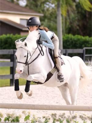 @carsyn.korotkin wears KENNEDY Seamless ✨ @Ibach Media | Create & Connect #heyathletes #fyp #ROOTD #equestrian #horsegirl #TKEQ #hunterjumper #horsesoftiktok #SmallBusiness 