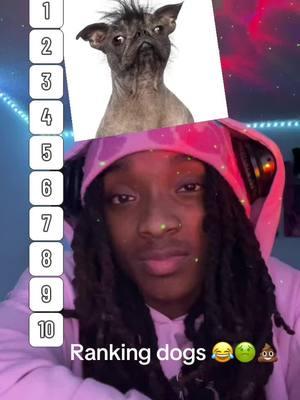 Whoever made this list wrong asl😂 #ranking #dogs #dawgs #funnyvideo #ugly #dog #RickyJr 