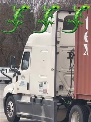 Had to whip out my anaconda 🐍 on the lizard 🦎 💦 #LotLizard #LotLizards #Trucking #Trucker #CDLLife #CDL #TruckDriver #OTR #Lonely #RecreationalReptile #BigRig #BigRigs #TruckStop #TruckStop #Companion #Quick40Reset #TheHighChurchTHC #ForYou #ForYouPage #ForYourPage #FYP #fypシ #fypシ゚viral #fypage 