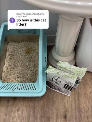 Replying to @shanonreichart One Week Update: 10/10 never going back. I HIGHLY recommend this. Can’t say enough good things. #tofulitter #catlitter #catbox #litterbox #tofucatlitter 