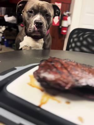 #fyp #foryourpage #tiktokeats #usda #flanksteak #doggo #americanbully #content #contentcreator #foodcorn #pitboss #dripez #preptub @Drip EZ #pelletsmoker @Pit Boss Grills 