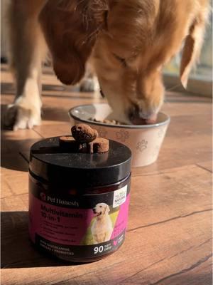 Simplify your dog’s health routine with a single chew! 🐾 Packed with 10 essential benefits. #PetHonesty #HealthyDogs #DogWellness #tiktokshopyearendsale #multivitamin #dogmultivitamin 