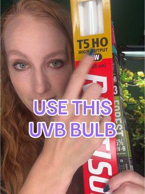 I cannot stress enough how important it is you get the CORRECT UVB bulb for you chamelon. This bulb is 100% necessary and acts as the sun for your chameleon so that they can process and synthesize Vitamin D3. Without the proper UVB bulb, your chameleon is at risk of developing life threatening health issues like metabolic bone disease. The majority of health issues I see in chameleons are from people having the wrong UVB and supplements.  UVB bulbs get even more complicated than heat bulbs. I am recommending you use a T5 HO Arcadia 6% or the Reptisun 5.0 UVB bulb. If you do not own a solar meter then your UVB bulb will need to be replaced every 6-12 months – just because the UVB bulb turns on, does not mean it is putting off enough UVB because the bulbs get weaker and less effective over time. You may hear some keepers recommend using a T5 Arcadia 12% or Reptisun 10.0 UVB bulb especially for veiled chameleons. This goes back to my earlier comment that there is more than one way to keep a chameleon. There has been research that demonstrates that a veiled chameleon can successfully live and produce healthy offspring underneath a 6% or 5.0 UVB. So, then we wonder as a chameleon community, is the 12% or 10.0 UVB too much UVB? Are we overdoing it? We know too much UVB is harmful to humans (sunburns, cancer, etc.) but we are still learning the long-term effects of too much UVB on chameleons. My content is meant for new keepers, so I do prefer to err on the side of caution and recommend you use a bulb we know for sure is safe. @Zoo Med Laboratories, Inc.  @arcadiareptile  #chameleonuvb #chameleonlights #chameleoncare #uvbbulb #reptilesoftiktok #reptilelover #reptilekeeper #chameleonuvbbulb #chameleonuvblight #veiledchameleon #reptiles #chameleons #chameleonsoftiktok #pantherchameleon #babychameleon 