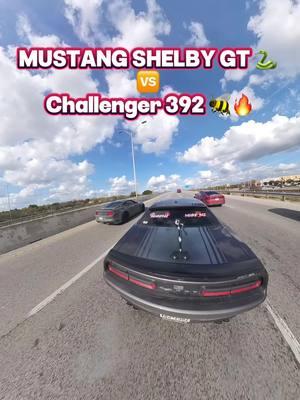 Mustang GT 350 🐍VS Challenger 392 🐝  Sigueme para mas videos asi ❤️ #gt350  #gt350r  #gt350shelby  #gt350rshelby  #challenger #scatpck392 #scatpack #scatpackcharger #scatpackchallenger #scatpcks  #mustanggt #mustang 