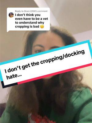 Replying to @Shani.2200 no hate to you (or anyone else who is anti cropping/docking. We’re all entitled to our opinions) but I genuinely don’t understand why people have such a problem with it 😅 #thatonedogmom #earcropping #taildocking #vetmed #hottake #vetassistant #vettechtok 