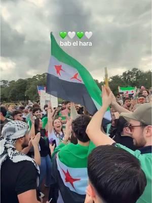 Bab al hara theme song goes crazy 💚🤍 #fyp #foryou #freesyria #syria #arab 