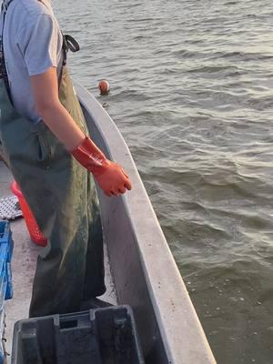 #countryboy #louisiana #Foryoupage #swamplife #livingthedream #doinwhatheloves #atchafalayabasin #youngboy #cajunlife #crabbing #lakeverrett #@jacecavalier132006 @Jacelyn cavalier @Claudiacavalier 