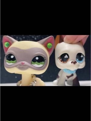 i hope you all had/have a good day! :) || #littlestpetshop #littlestpetshoptiktok #lps #lpstiktok #foryoupage #fyp #fypage #lpsfyp #fy #lpstransition #littlestpetshoptiktoks #lpscollection 