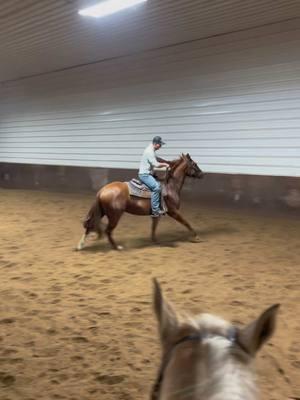 First time changing leads on this CAV gelding😍 #leadchange #aqhaproud #cav #aqhaprofessionalhorseman #westernpleasure #westernriding #horsesoftiktok 