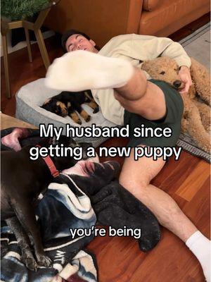 Replying to @Lace as if we didn’t see this coming 😆 #puppy #couplestiktok #puppytiktok #marriedlife #relatable #Love 