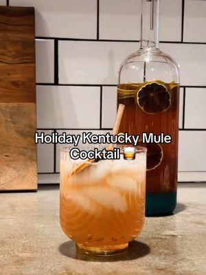 We’re getting in the southern holiday spirit with this holiday kentucky mule 🎄 It’s perfect for your next holiday party or family gathering! 🎁 #barware #kentuckymule #asmr #cocktail #cocktailrecipe #asmrdrinks #asmrcocktails #bourboncocktails #bourbondrinks