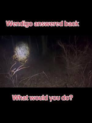 Windigo answered back #tiktoktrending #Michigan #Skinwalker #Wendigo #outdooradventures #mythical #viral #creepy #parnormalactivity #critter #crazy #realorfake? #predator #Shapeshifter #paranormal #Cryptid # Michigan mythical creatures##Wisconsinmythical creatures##fullmoon weekend##scaryactivity##paranormalactivity##wouldyou go in?##creepy