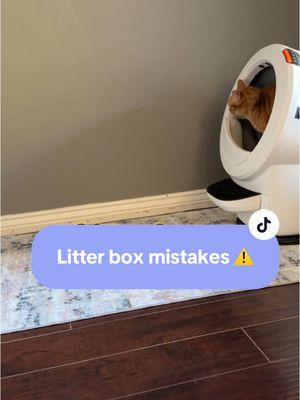 #litterbox #litterboxhack #litteeboxtips #litterrobot #litter #rawfedcat #cathealth #catnutrition 