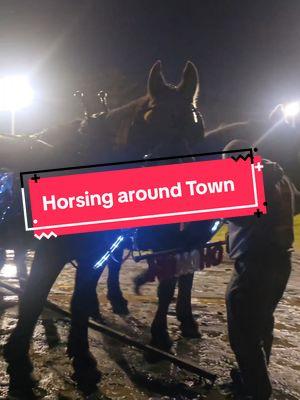 A little horsing around the city #carriagehorse #horse #city #caroling #sleigh #christmas2024 #community #myslablife 