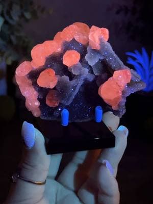 Calcite on chalcedony/quartz from Fujian, China..  Finally.. they are back.. 👀 Insanely fluorescent under longwave UV.. so pretty. The range on these is from the 20’s-80’s. Available on our lives this week:  Thursday, Dec. 19th @ 7PM CT Friday, Dec. 20th @ 6PM CT #calcite #uvcalcite #minerals #crystals #mineraltok #crystaltok