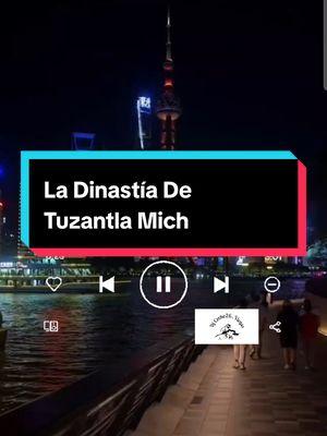 No Puedo Olvidarte  - La Dinastía De Tuzantla Mich #nopuedoolvidarte #ladinastia #ladinastiadetuzantla #ladinastiadetuzantlamich #tierracaliente #tierracalienteguache #tierracaliente🔥🇲🇽 #tierracalientecochos #tierracalienteguaches #tierracalientemusic #tierracalienteguerrero #tierracaliente🔥 #tierracalientecochos🥑 #musicadetierracaliente #djcocho26 #untakuacheencananda🇨🇦 #elcochoencanada🇨🇦 #viralvideo 