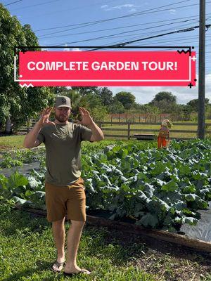 What are you growing this year? #gardening #homestead #veggies #tomatoes #brocolli #cauliflower #peppers #cabbage #collards 