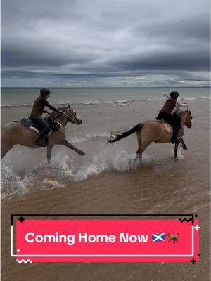 On Beat, on a Beach, on Highland Ponies 🏴󠁧󠁢󠁳󠁣󠁴󠁿🐎🎶 #fyp #galloping #equestrian #horsesoftiktok #equestriansoftiktok #cowgirl #scotlandtravel #Scotland #scotlandtiktok #highlandsunbridled @Jennifer @Highlands Unbridled 