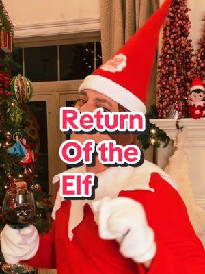 Dat elf lied to me! 😂 #djrhett #yallcatchin #stirdapotontiktok #cajunelf 