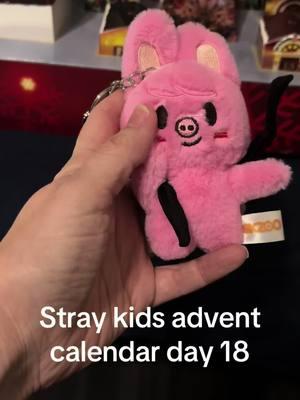 #straykids #dwaekki #skzoo #advent calendar #kpop #uniqueChristmasgifts