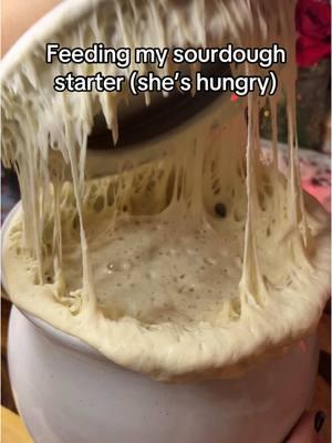 Feeding my hungry sourdough starter #sourdough #sourdoughtok #sourdoughclub #sourdoughtiktok #sourdoughasmr #sourdoughcrunch #sourdoughbread #sourdoughstarter 