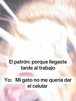 Creen que me crea el patron ?🙏😂❤️🫡🐈🐈#viralvideo #gato #gatuno #gatos 