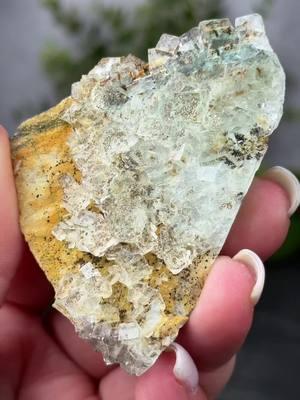 Fluorite with dendrite inclusions.. insanely gorgeous! Xianghualing Mine, Hunan, China. Ranging from the 30’s to the 150’s.. come grab yours on our next lives: Thursday, Dec. 19th @ 7PM CT Friday, Dec. 20th @ 6PM CT #fluorite #xhlfluorite #mineraltok #minerals