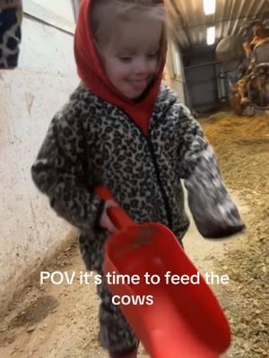 #iowafarmer #farmlife #dairycattle #farmtok #farming #kidsoftiktok #farmkid #girlswhofarm 