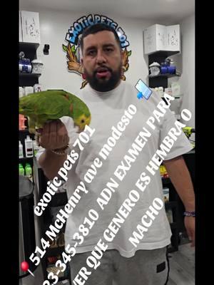 #greenscreen #capcut #educacion #yellowhead701 #exoticpetshop701 #fyp #fypシ゚viral #parati #fypシ゚viral #viral #eldelospajaros701 #trending #adn #test #capcut #lancaster #videoeducativo #california #petshop #exoticpetshop701 #foryou #fypage #foryoupage #videooftheday #fyp #fy #examendegenero #parrotsoftiktok #foryou 