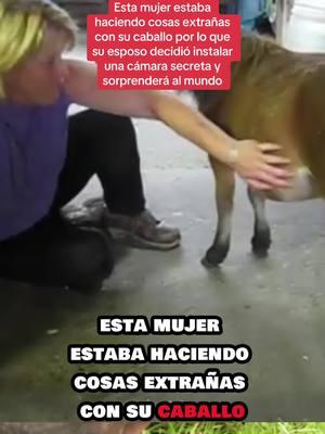 Esta mujer estaba haciendo cosas extrañas con su caballo por lo que su esposo decidió instalar una cámara secreta y sorprenderá al mundo #foryou #LearnOnTikTok #truestory #usa  #usa_tiktok #usa🇺🇸 #usarmy #usatiktok #usatoday #united 