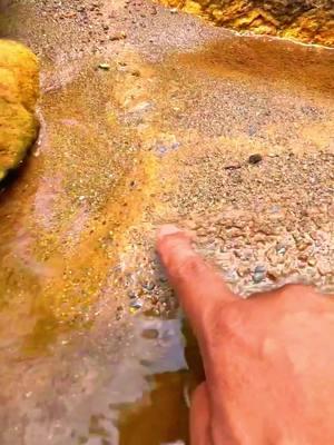 Crazy.,😱‼️discovery of gold dust in inland rivers carried by flash waters. #golddiscovery #goldrush 