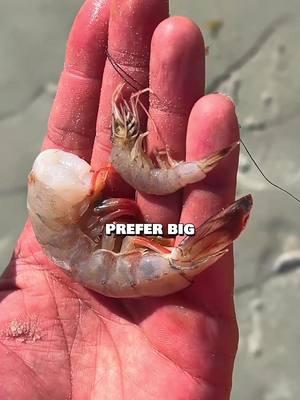 does size matter? 🤔 BIG vs SMALL fishing bait 🎣 #fishing #beachfishing #explore #reelit #fyp