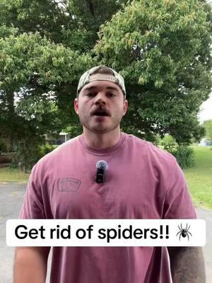 NO MORE SPIDERS!!! #spider #spiders #australia #aussie #spidertok #hotbugguy #hack #hacks #LifeHack #lifehacks #homehack #homehacks #essentialoil #naturalremedy #tipsandtricks 