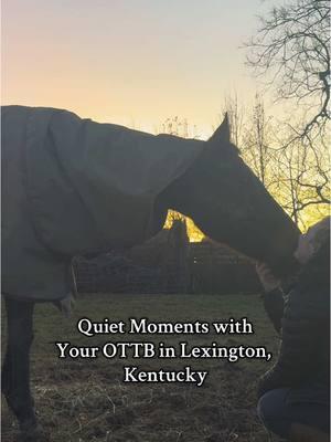 What’s your childhood horsey dream? even though its been nothing but a downpour lately, I love, love, LOVE Lexington. Even after four years of living here.  #horsetok #ottbsoftiktok #ottb #adultammy #equestrian 