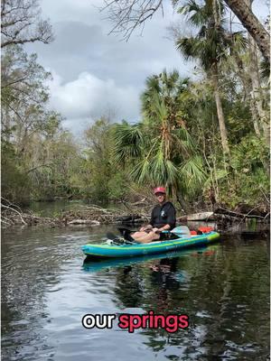 The Florida Springs Council is committed to doing whatever is necessary – through advocacy, local governments, the legislature, and the courts - to reverse the destruction of Florida’s springs, rivers, and aquifer 🙌  As we look ahead to the new year, join us as we continue to build a community of springs protectors across the state ready to speak up and show up for our springs, wildlife and natural lands 💪 #floridasprings #florida #floridawater #springsprotectors