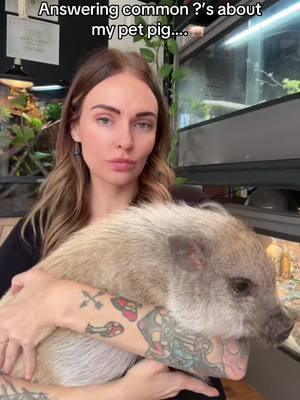 Answering some common ?’s about my pet 🐖🤍  #pig #pets #animals #petpig #plantbased #friendsnotfood 