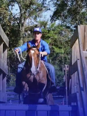 Behind the Scenes with a Horse Trainer! Michael Gascon, the Horse Guru, shines at the Horse Help Retreat! ✨ Taming the untamed, riding the unrideable – this guy's a legend in the making. Can't get enough of his magic with horses! 🐎 #Horse #Horsetraining #Ridinghorses #TheHorseGuru #Horsehelp