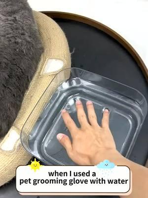 When I use pet grooming gloves with water… #PetsOfTikTok #cat #petcleaning #petsmartmademebuyit #petgrooming #TikTokShopHolidayHaul #petgroomingglove #mademyyear #fyp #catsoftiktok #MLBB8TH 