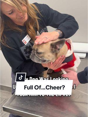 I was definitely a bit scared for a second 😬 #dogparent #dogs #hollidaycheer #happyholidays #merrychristmas #frenchie #veterinaryemergencygroup @VEG 