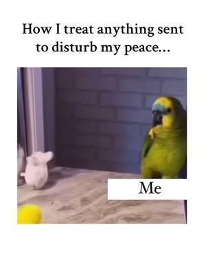 How I treat anything sent to disturb my peace… #peace #peaceful #peacefull #peacefulvibes #peacefullife #protectyourpeace #protectingmypeace #nonegativity #nonegativevibes 