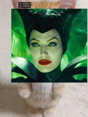 Maleficent El Gato #maleficent #angelinajolie #viral #catsoftiktok 